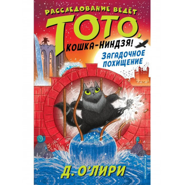 Загадочное похищение (выпуск 4).