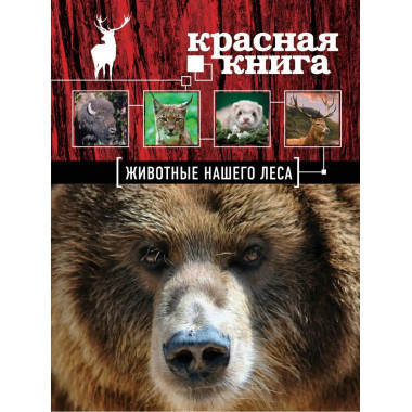 Красная книга. Животные нашего леса (ПР).