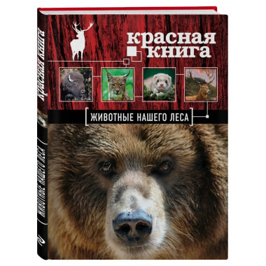 Красная книга. Животные нашего леса (ПР).