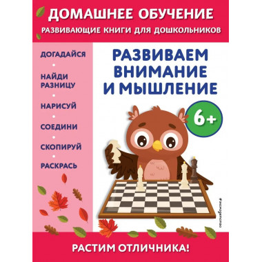 Развиваем внимание и мышление: для детей от 6 лет.