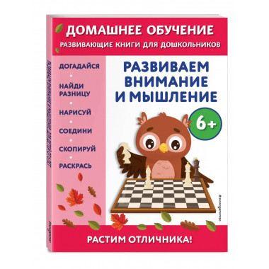 Развиваем внимание и мышление: для детей от 6 лет.