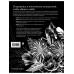 The Seasonal Soul. Мистическое руководство по внутренней тра