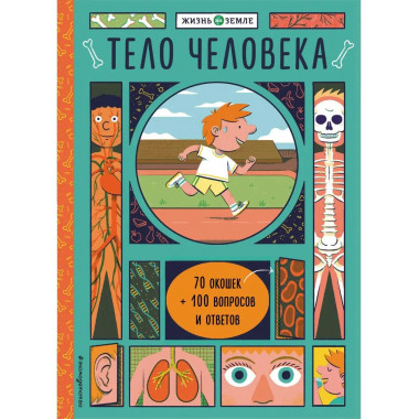 Тело человека (с окошками).