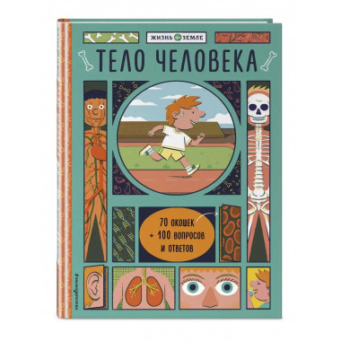 Тело человека (с окошками).