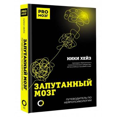 Запутанный мозг. Путеводитель по нейропсихологии.
