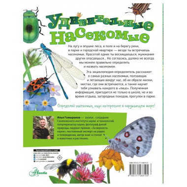 Удивительные насекомые.