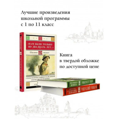 Нам было только по двадцать лет... Стихи поэтов, павших на