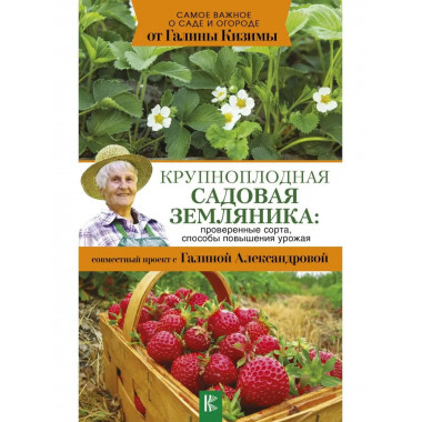 Крупноплодная садовая земляника: проверенные сорта, способы