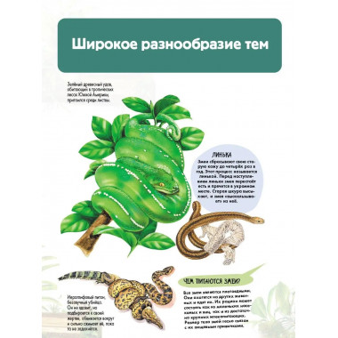 Рептилии.