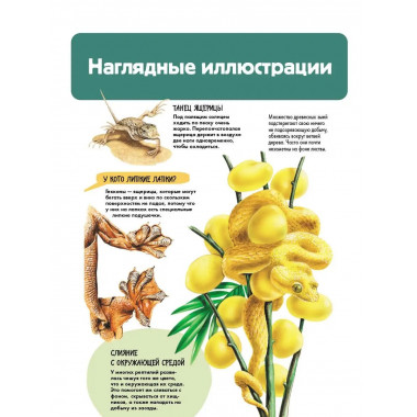 Рептилии.