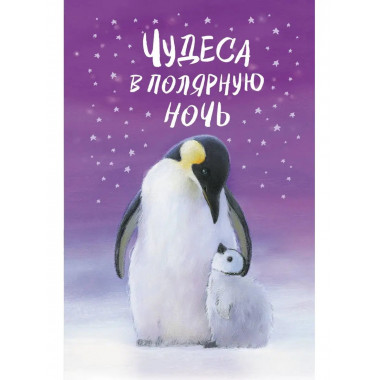 Чудеса в полярную ночь.
