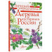 Деревья и кустарники России. Определитель.