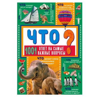 ЧТО? 1001 ответ на самые важные вопросы.