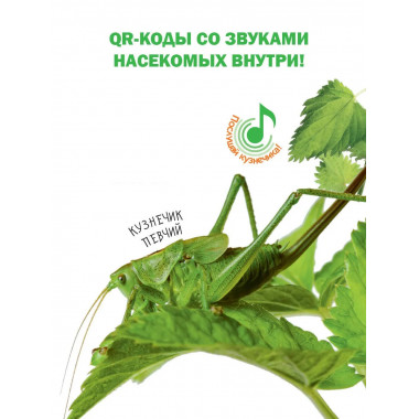 Насекомые.