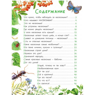 Насекомые.