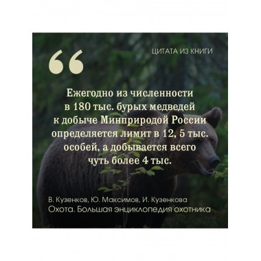 Охота. Большая энциклопедия. 17 диких зверей.