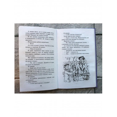 Профессор кислых щей. Рассказы (ил. А. Босина).