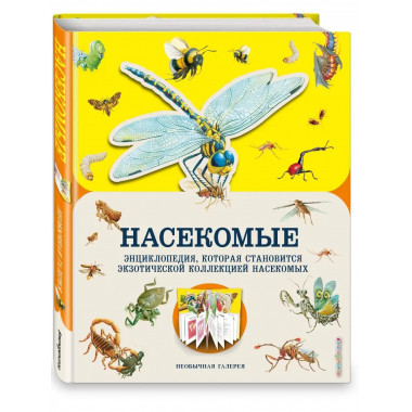 Насекомые.