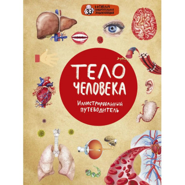 Тело человека.