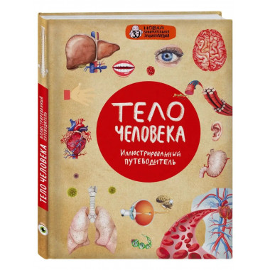 Тело человека.