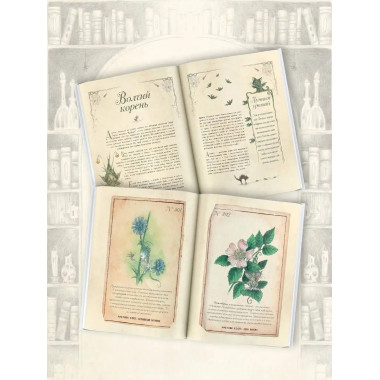 Секреты колдовских растений.