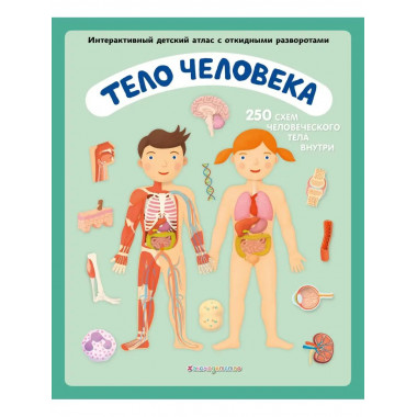 Тело человека. Интерактивный детский атлас с откидными разво