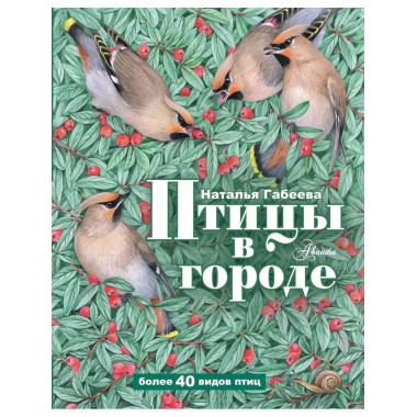 Птицы в городе.