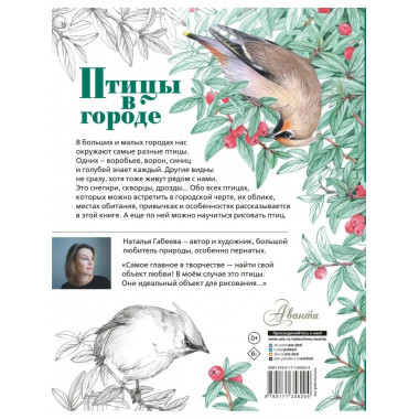 Птицы в городе.