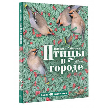 Птицы в городе.