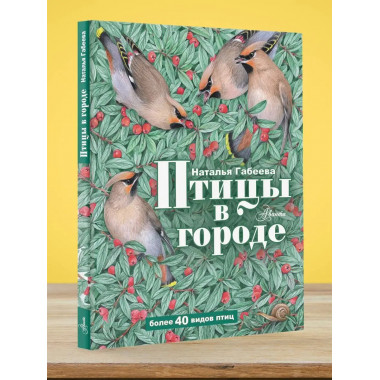 Птицы в городе.