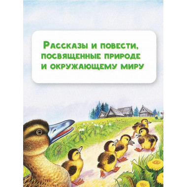 Лисичкин хлеб. Рассказы.