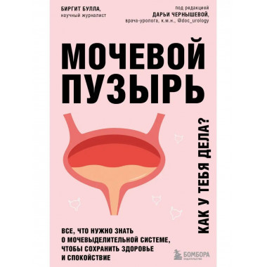 Мочевой пузырь. Все, что нужно знать о мочевыделительной сис