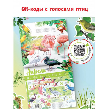Птицы мира. Календарь для детей с голосами птиц 2023 год.