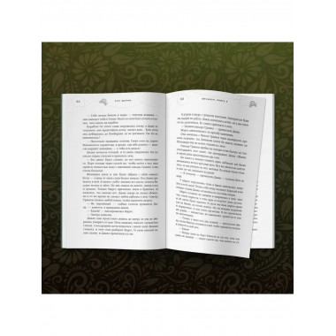 Бисцион. Книга 2.