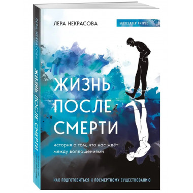 Жизнь после смерти. История о том, что нас ждёт между воплощ