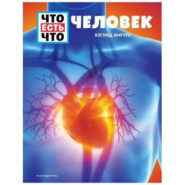 ЧЕЛОВЕК. Взгляд внутрь