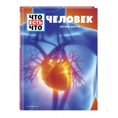 ЧЕЛОВЕК. Взгляд внутрь