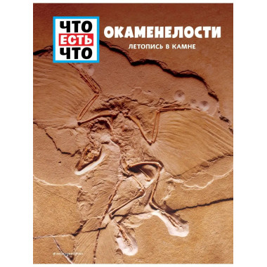 ОКАМЕНЕЛОСТИ. Летопись в камне.