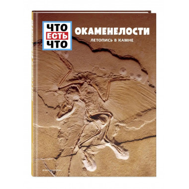 ОКАМЕНЕЛОСТИ. Летопись в камне.