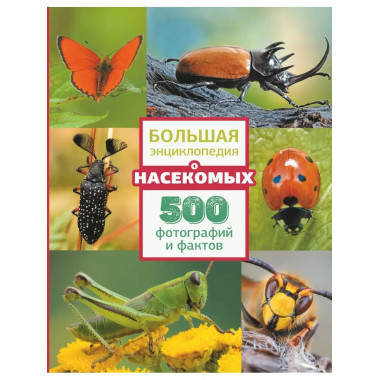 Большая энциклопедия о насекомых. 500 фотографий и фактов.