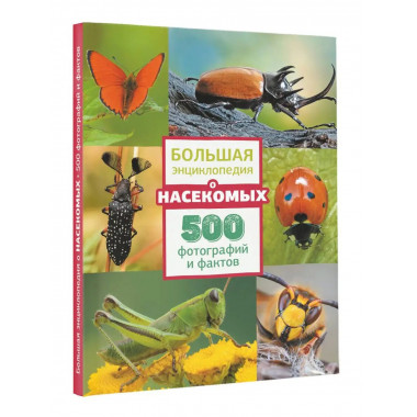 Большая энциклопедия о насекомых. 500 фотографий и фактов.