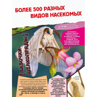 Большая энциклопедия о насекомых. 500 фотографий и фактов.