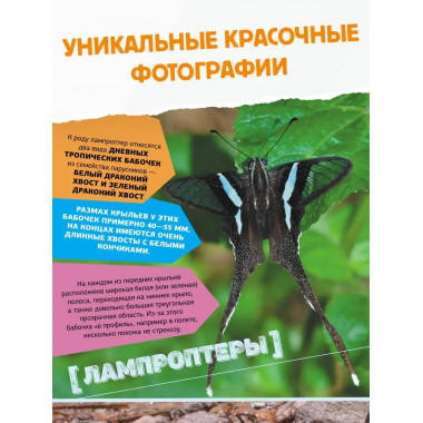 Большая энциклопедия о насекомых. 500 фотографий и фактов.