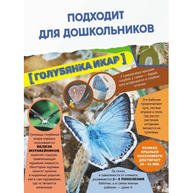 Большая энциклопедия о насекомых. 500 фотографий и фактов.