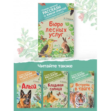 Бюро лесных услуг.