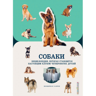 Собаки.