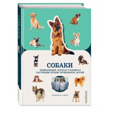 Собаки.