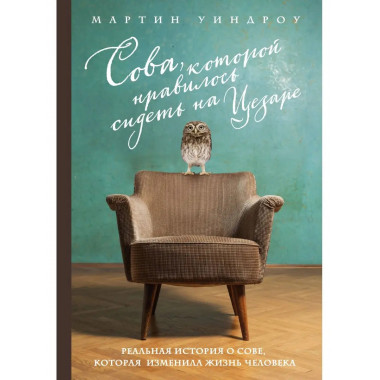 Сова, которой нравилось сидеть на Цезаре.