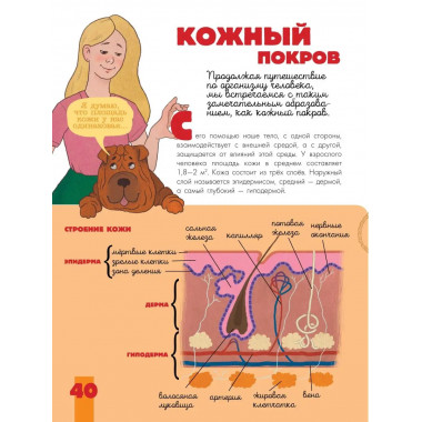 Тело человека.