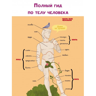 Тело человека.